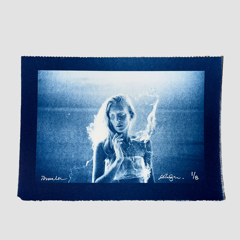 STILL BLUE cyanotypes