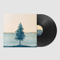 ionnalee - KRONOLOGI 2 double vinyl