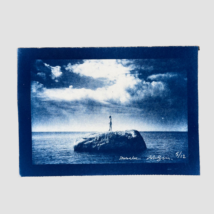 ISLAND cyanotype 5 of 12