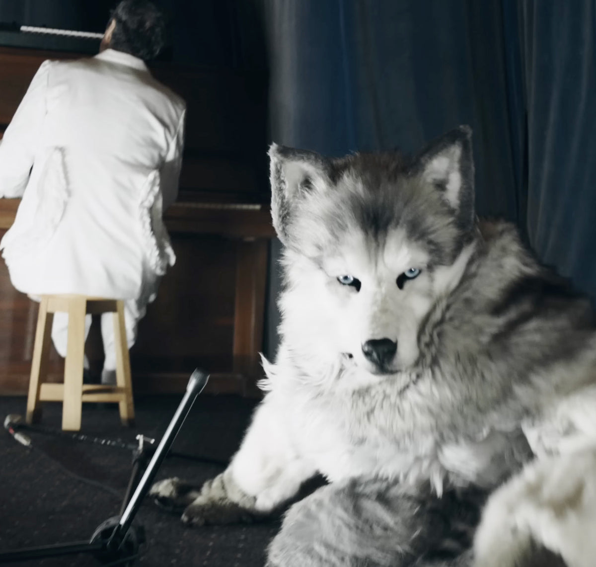 TWIMC ARTIFACTS 04  “Wolf Head”